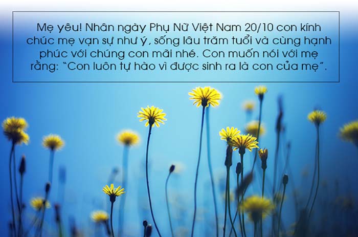 stt-anh-dep-va-loi-chuc-2010-hay-y-nghia-danh-cho-chi-em-phu-nu-6